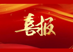 喜訊 | 公司榮獲“瞪羚企業”稱號